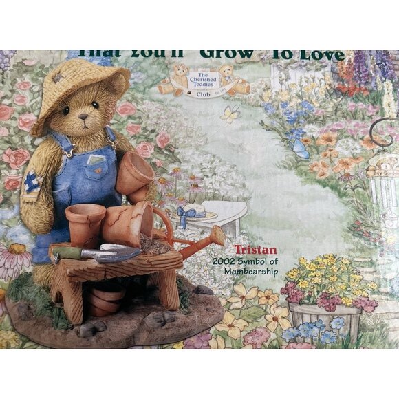 CottageCore Cherished Teddies Tristan CT108 2002 Club Membership Kit New In Box. - Picture 1 of 12